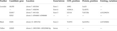 Candidate pigmentation genes related to feather color variation in an indigenous chicken breed revealed by whole genome data